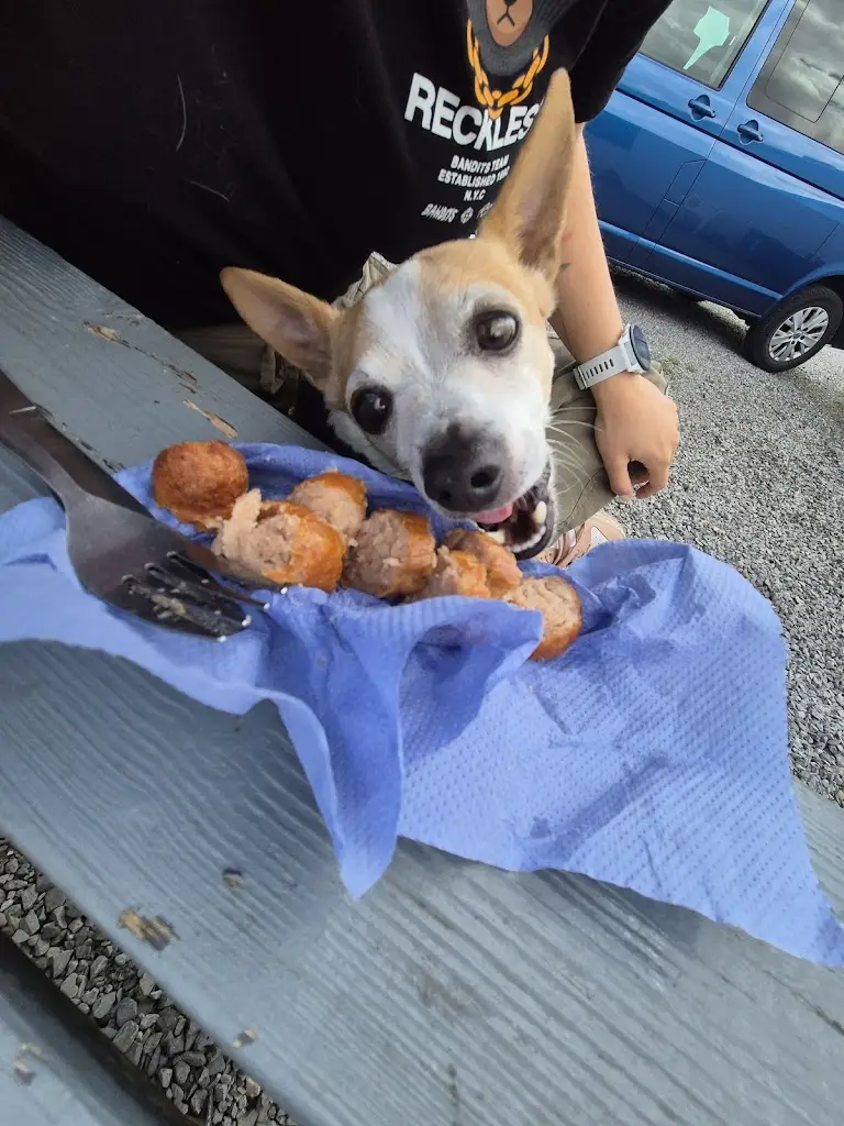 Paula S_Georgie's Diner_Porthcawl_review