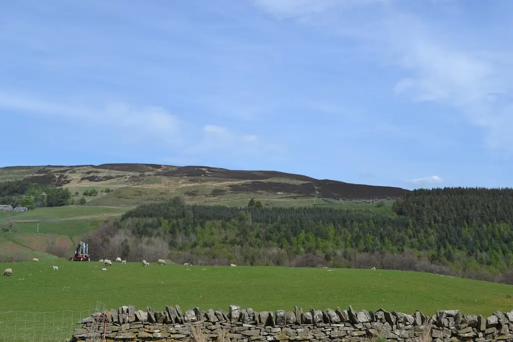 John Naisbitt_The Nook Farm Shop & Cafe_Alston_review