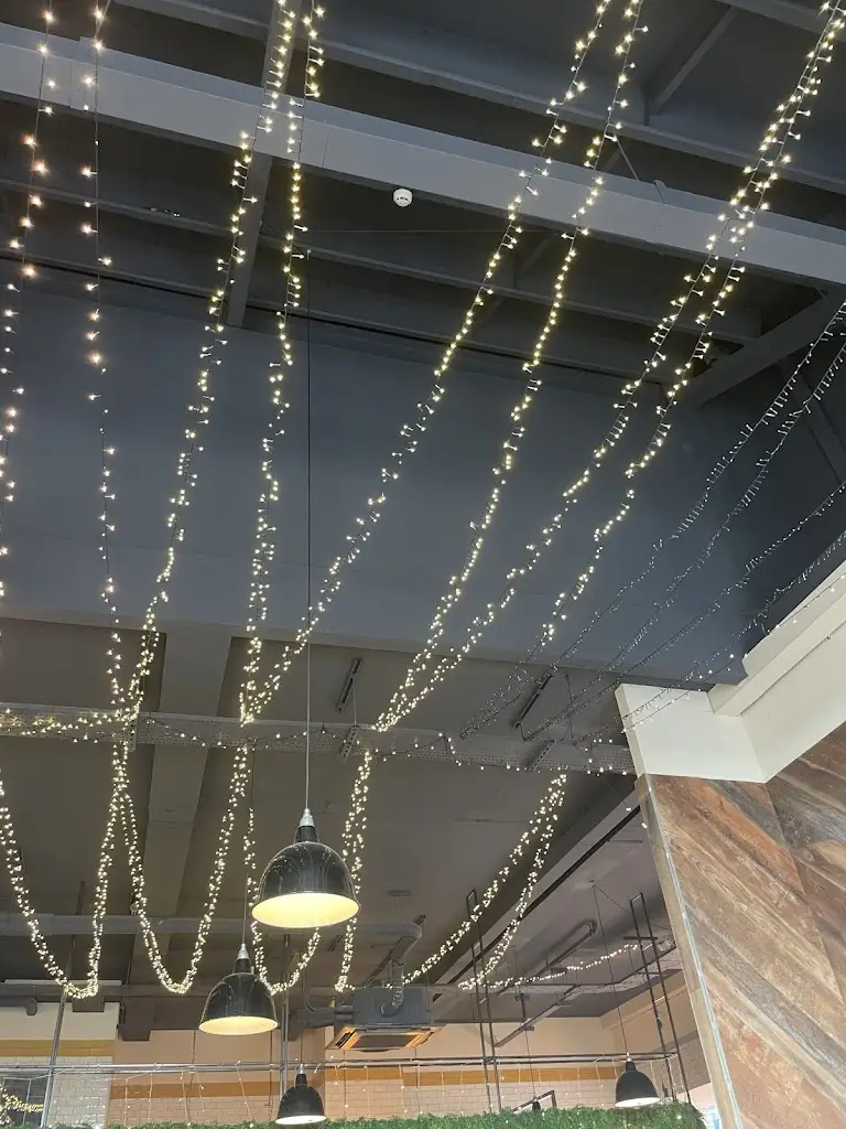 Awardedcat YT_Wildwood_Black Notley_review