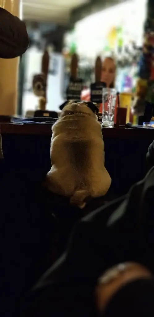 Menu_The Black Bull_Blaydon-on-Tyne_image_5