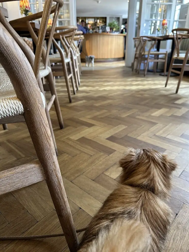 richard whitaker_The Suffolk_Aldeburgh_review