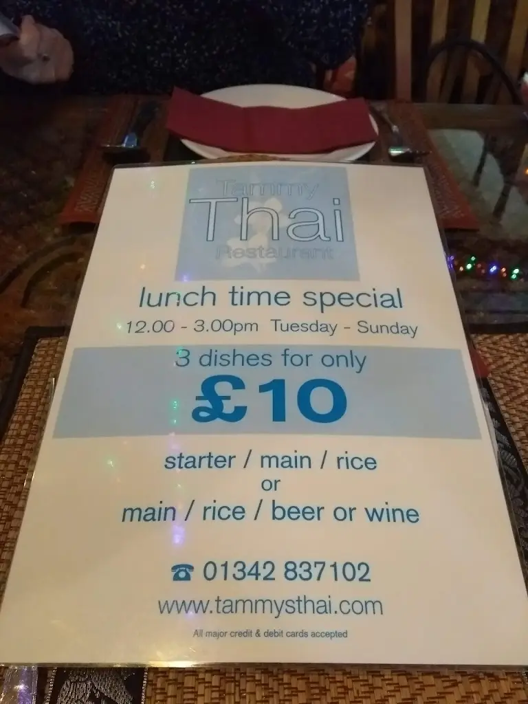 Menu_Tammy's Thai Restaurant_Blindley Heath_image_2