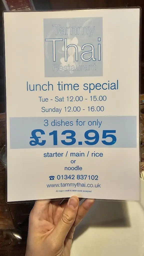 Menu_Tammy's Thai Restaurant_Blindley Heath_image_4