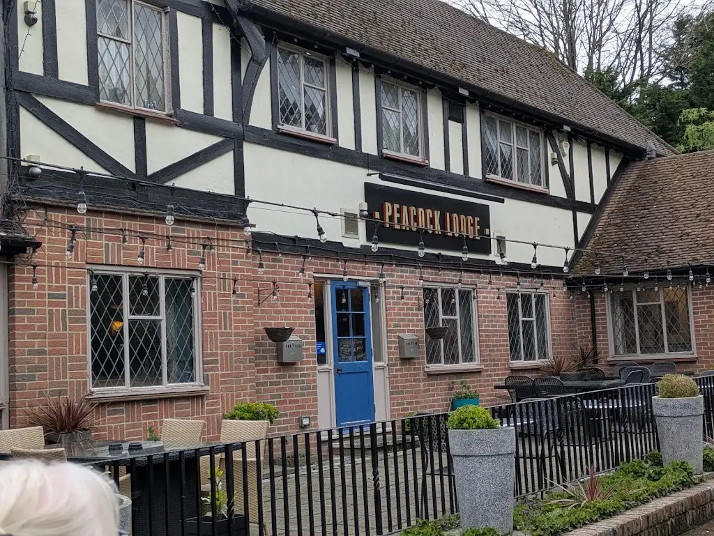 Alan Blott_Peacock Lodge_Blindley Heath_recensione