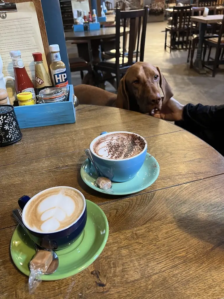 David Milbourn_The Brewery Tap_Blandford Forum_review