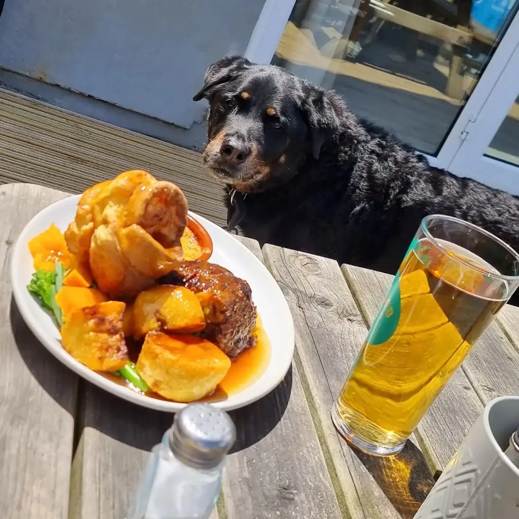 Paul Tame_Masons Arms Bodmin_Bodmin_review