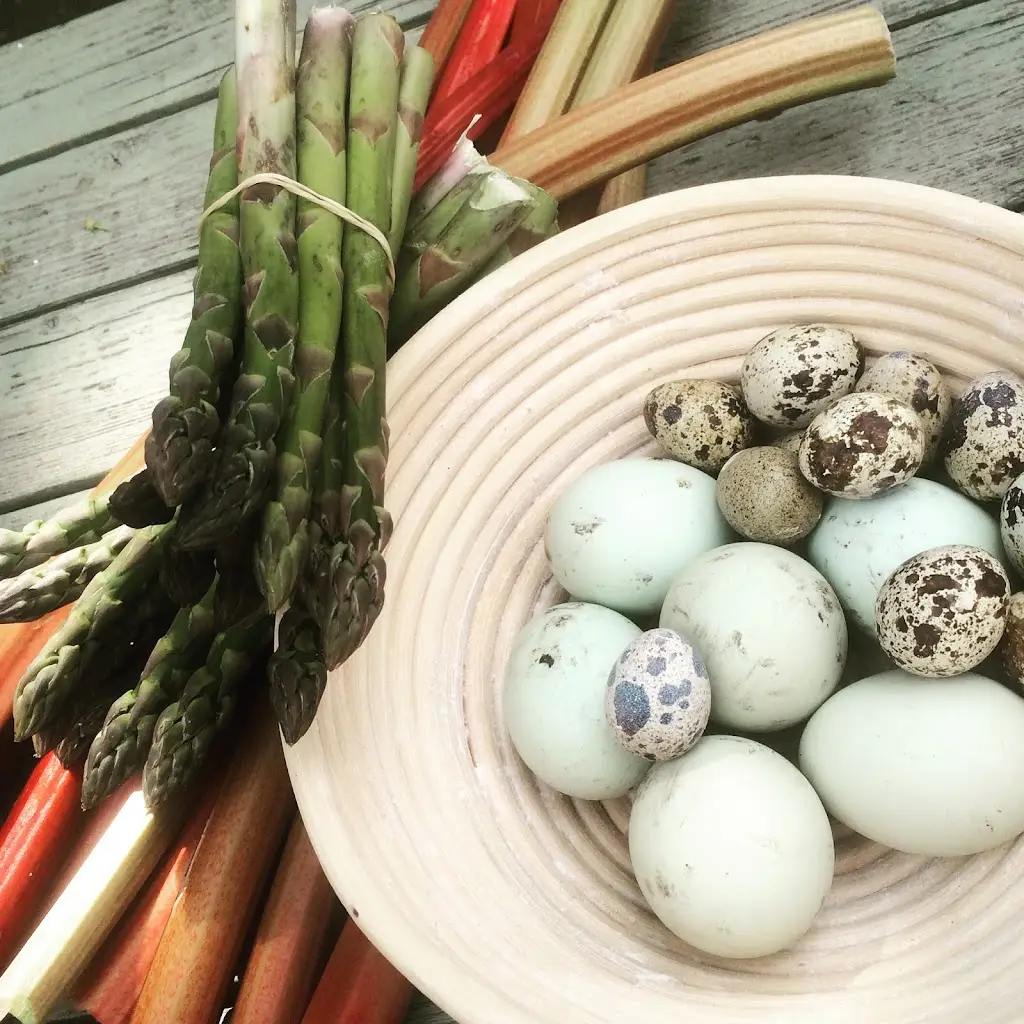 Menu_The Black Bull_Blidworth_image_7