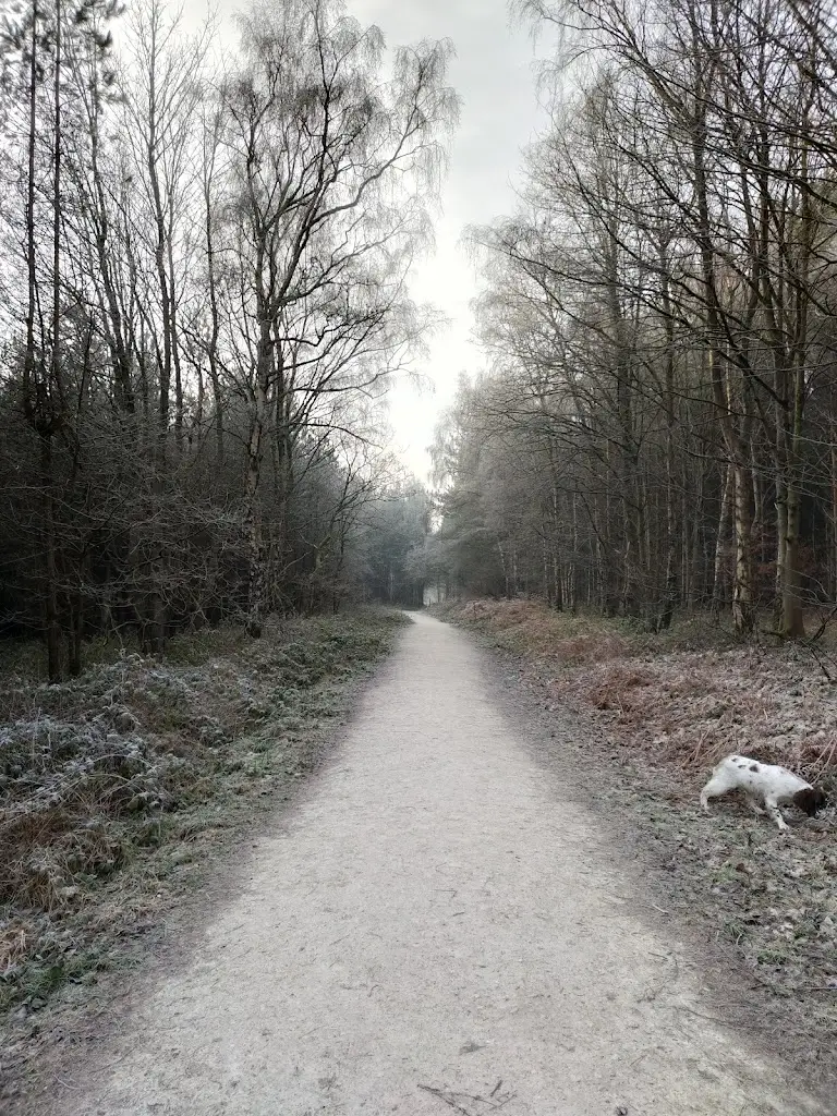 Chris Hughes_Bildworth Woods Food Van_Blidworth_review