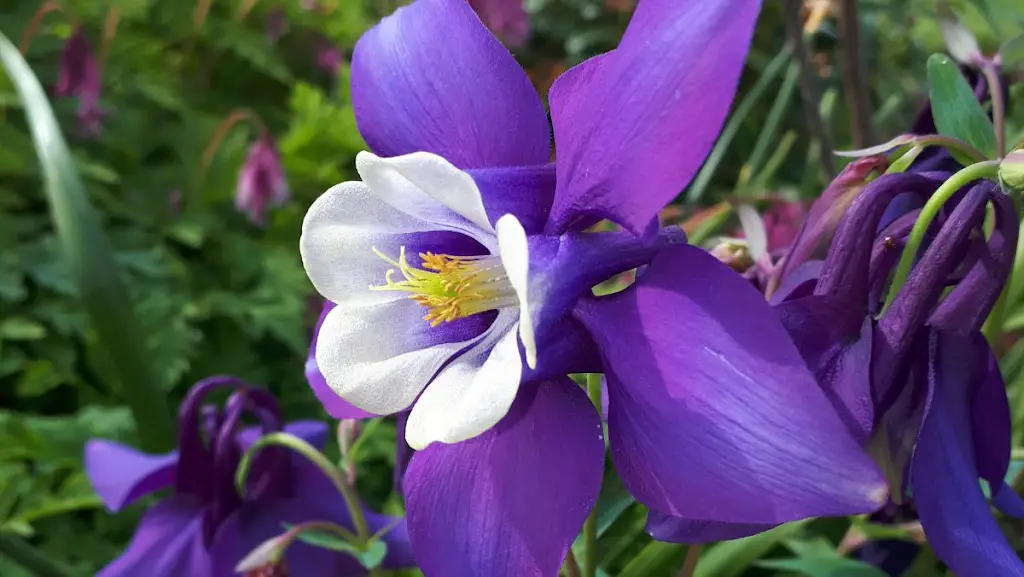 Bay View Garden Centre & Restaurant_Bolton le Sands_slider_image_3