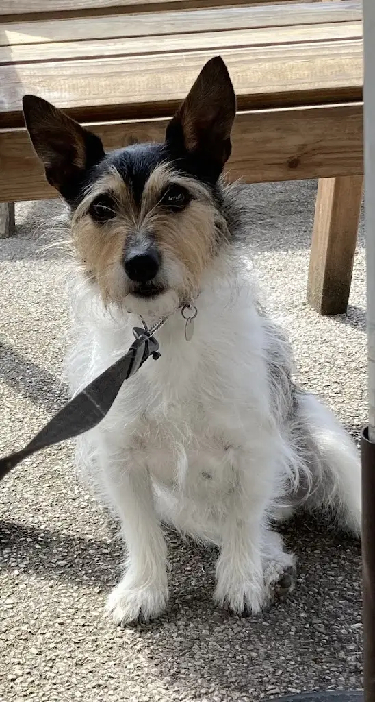 Bernie Whittle_Archers Cafe Red Bank Farm_Bolton le Sands_review