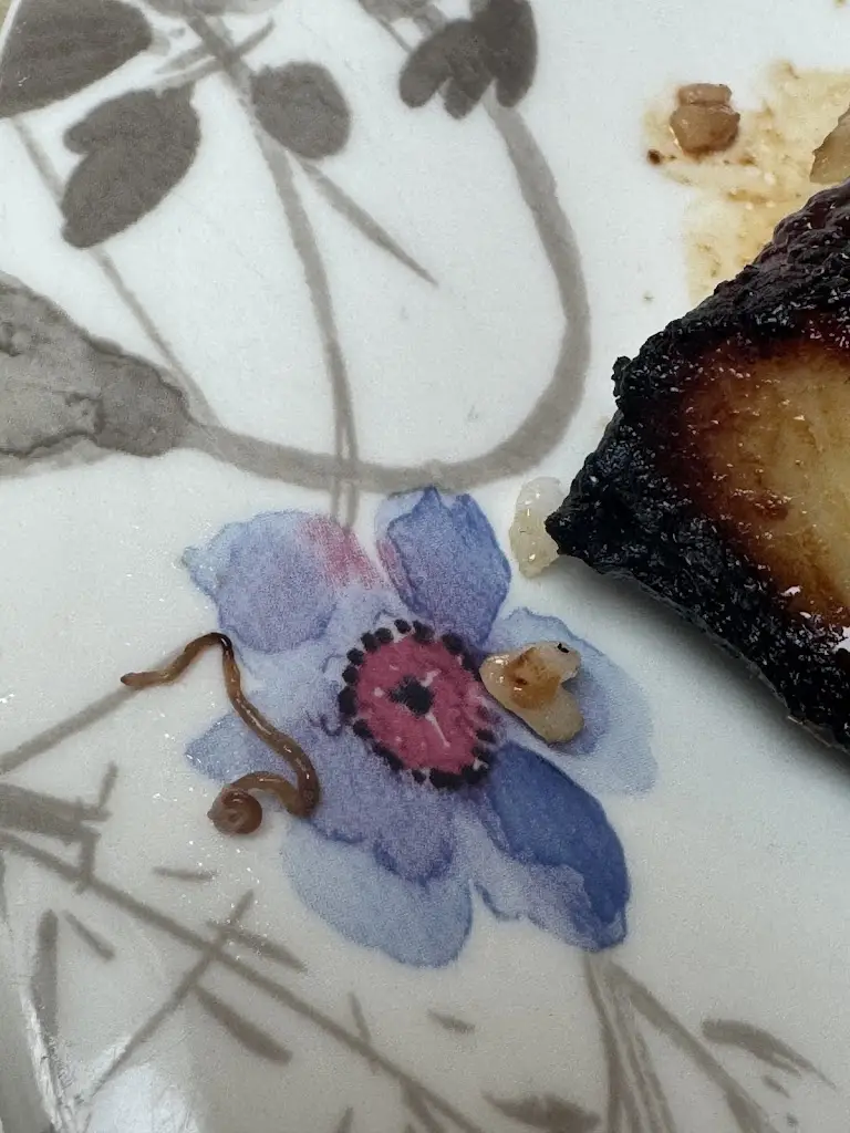 Luke Bannerman_Kiyoto Sushi Borehamwood_Borehamwood_review