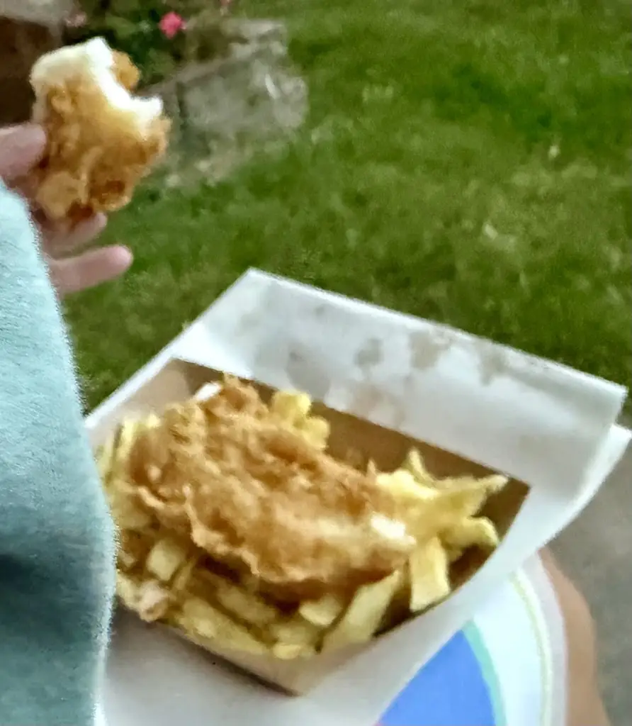 Lesley Miller_Fish N Chip Shop_Boosbeck_review