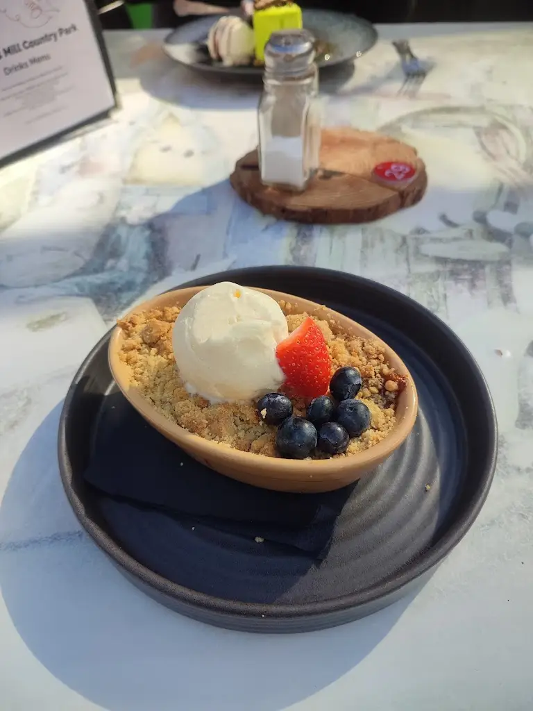 Alannah Riddiough_Tocketts Mill Country Park and Restaurant_Boosbeck_review