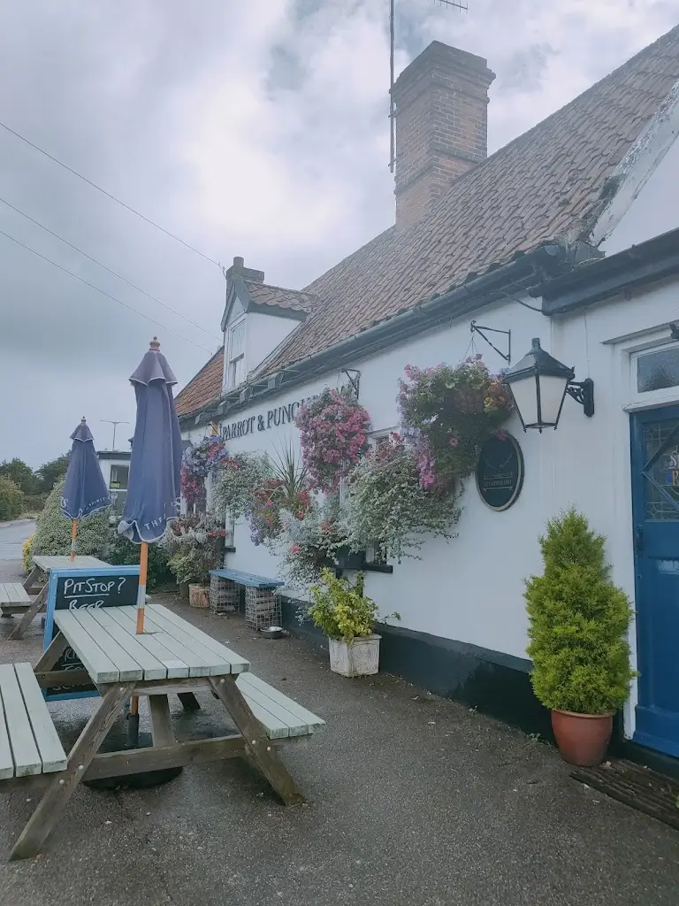 TFMR Me_Parrot at Aldringham_Aldeburgh_review