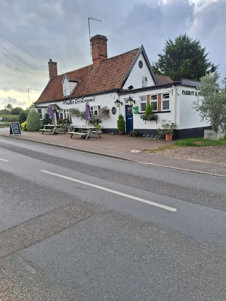 Julian Frost_Parrot at Aldringham_Aldeburgh_review