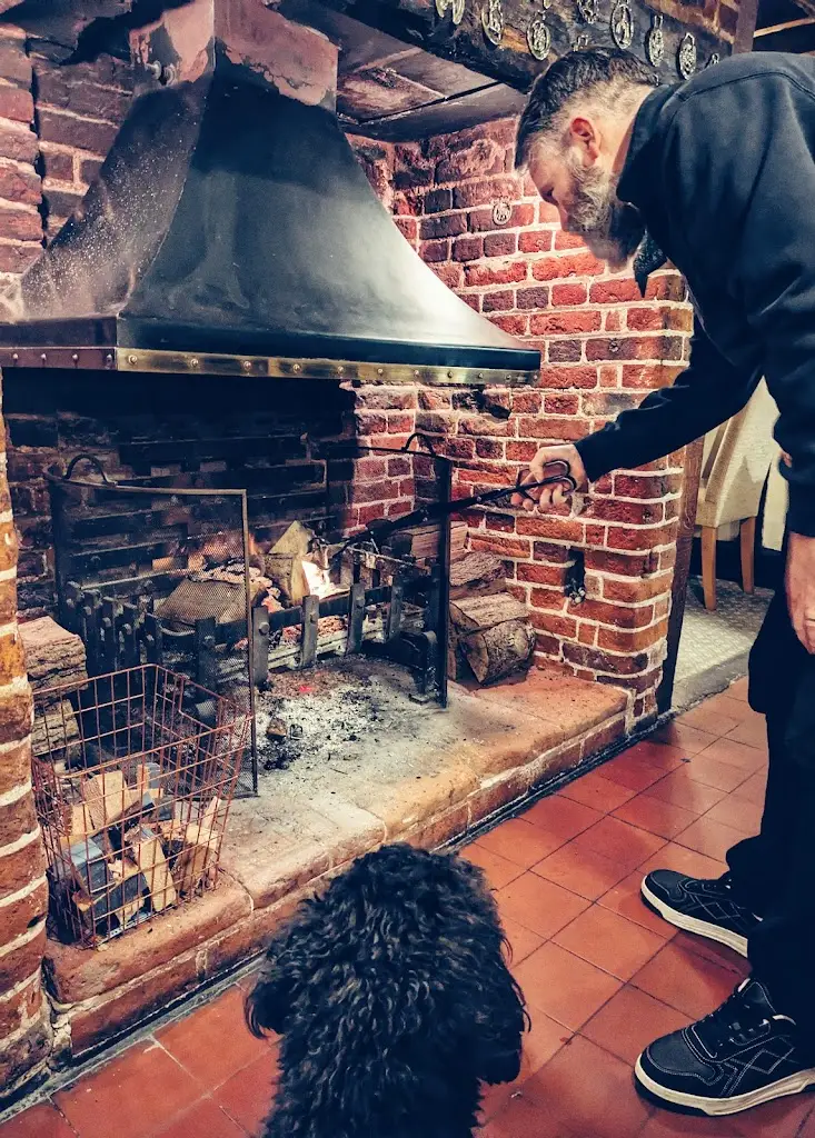 Hugh Allen_Parrot at Aldringham_Aldeburgh_review