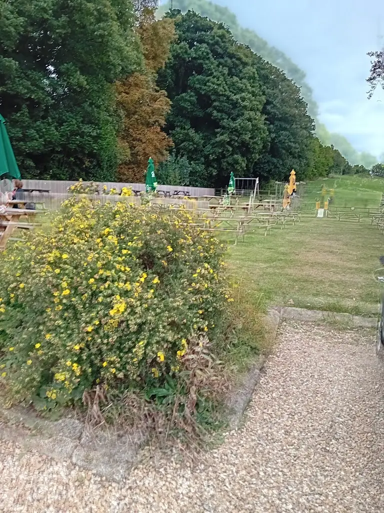 Tony Jefferies_The Hinton Arms_Alresford_review