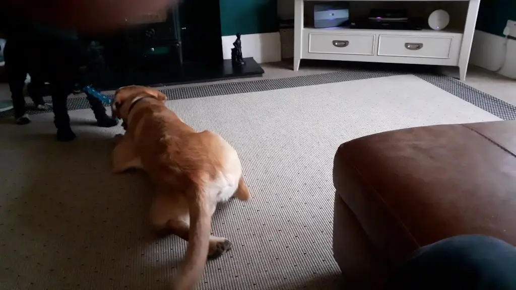 The Memories of Italy restaurant in Blyth