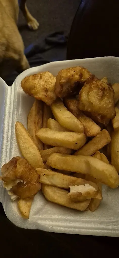 Scott_Top G_Blyth_review