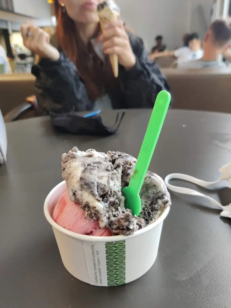 Menu_The Shed Whitehill & Bordon_Bordon_image_7