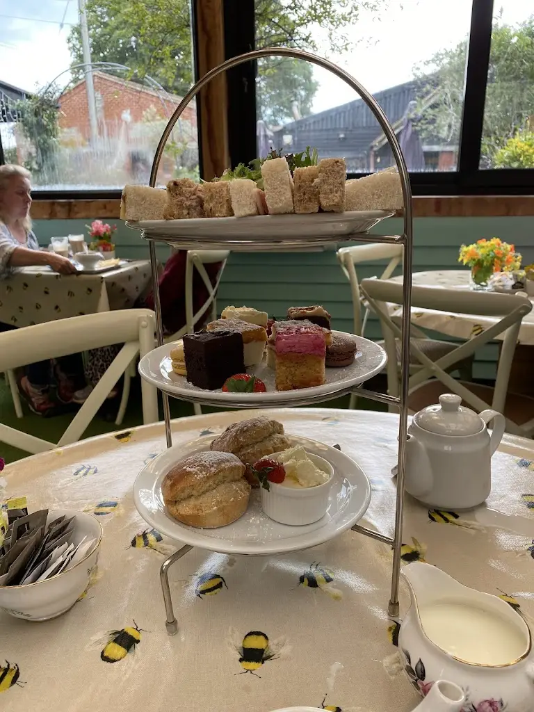 Caroline Gritt_The Chocolate Frog_Bordon_review