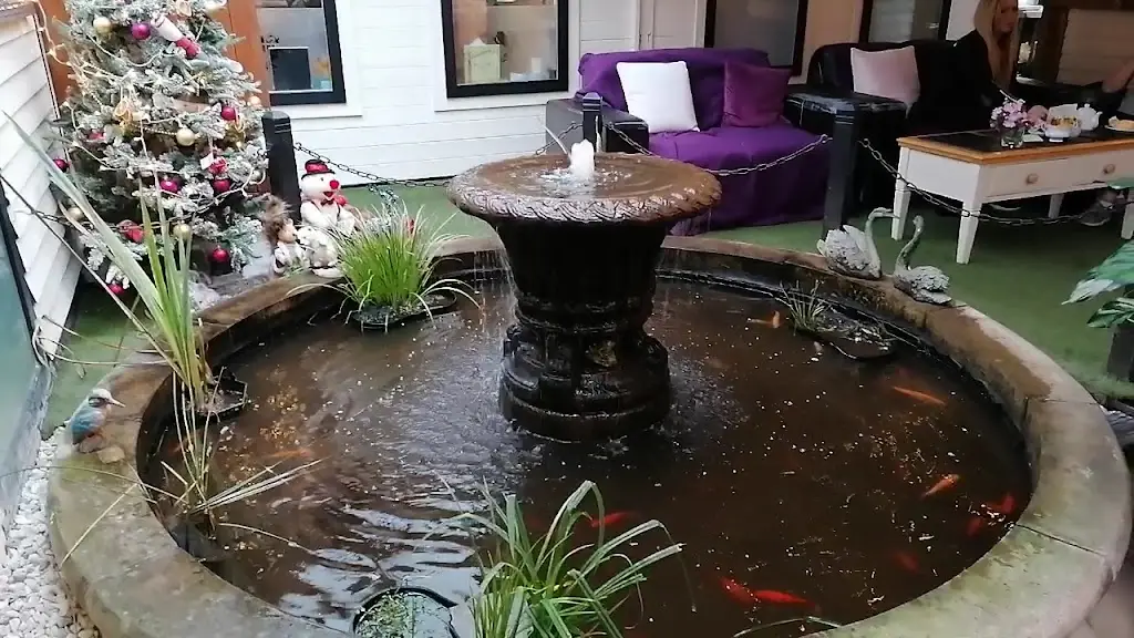 The Chocolate Frog_Bordon_slider_image_2