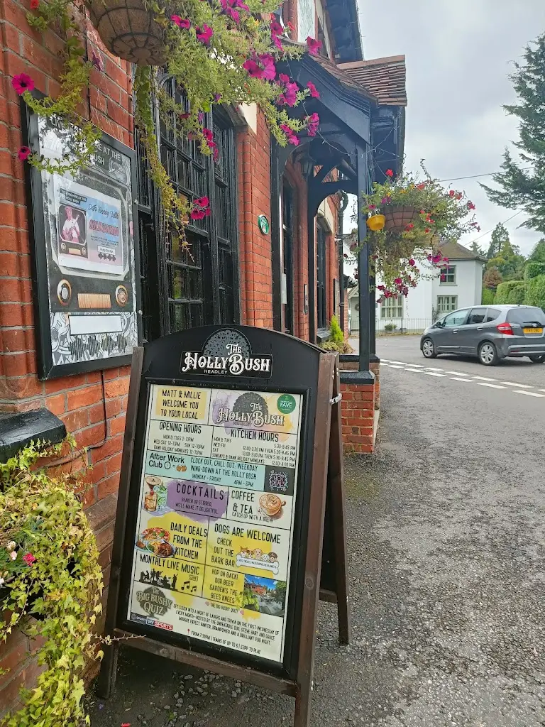 Maria Kastruni_The Holly Bush_Bordon_review