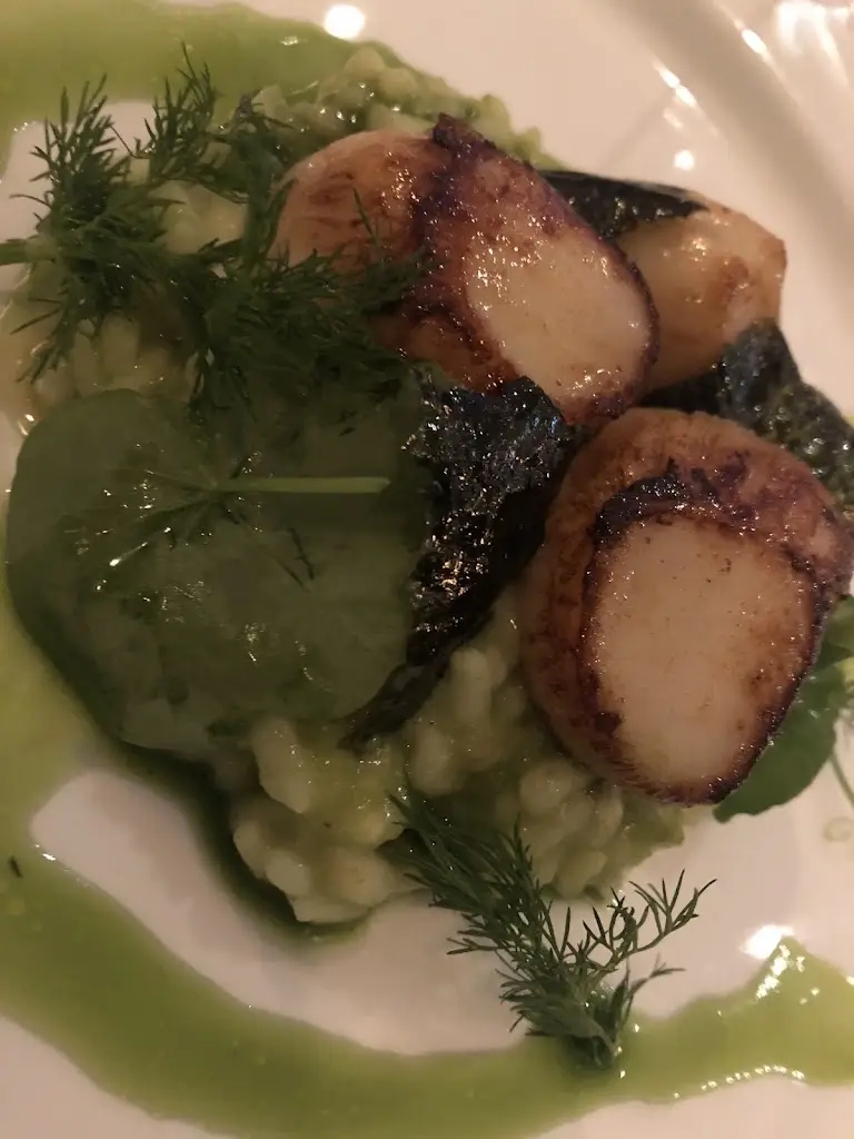 Mather Brown Travel_High Tide_Borough of North Tyneside_review