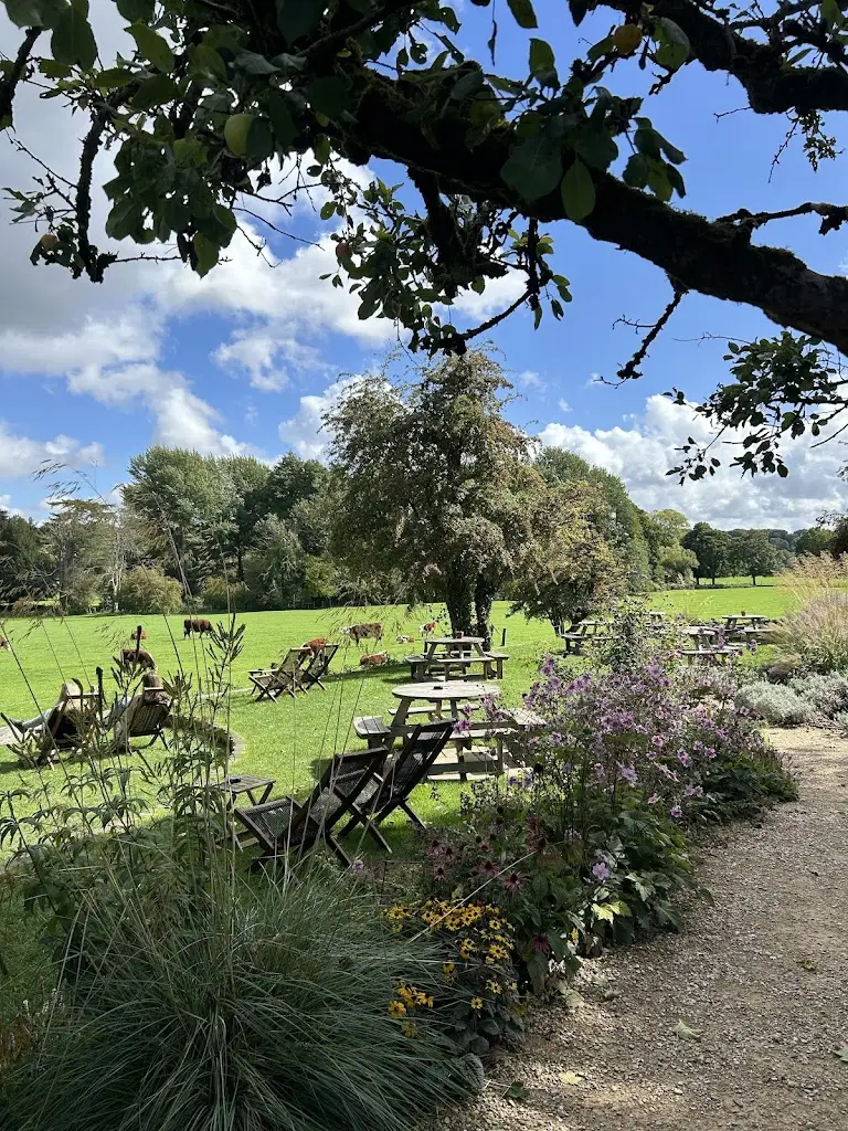 Jennifer Ramirez_Tichborne Arms_Alresford_recensione