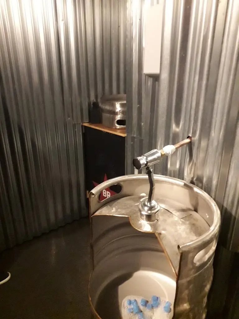 Garry Devine_Society LTD_Borough of Halton_review