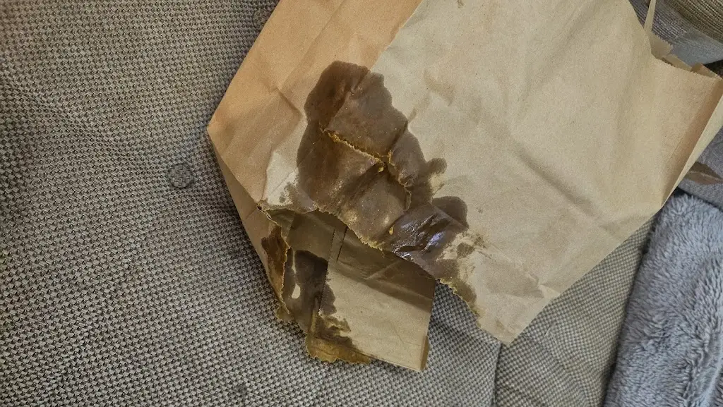 Jacob Harrison_Memories of India_Bosham_review