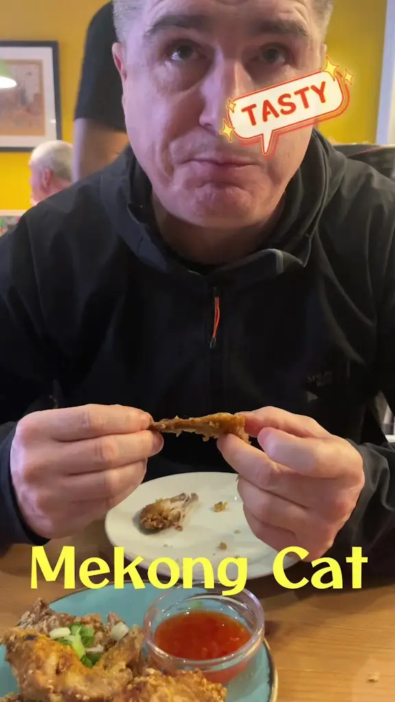 The Mekong Cat_Borough of Stockport_slider_image_2