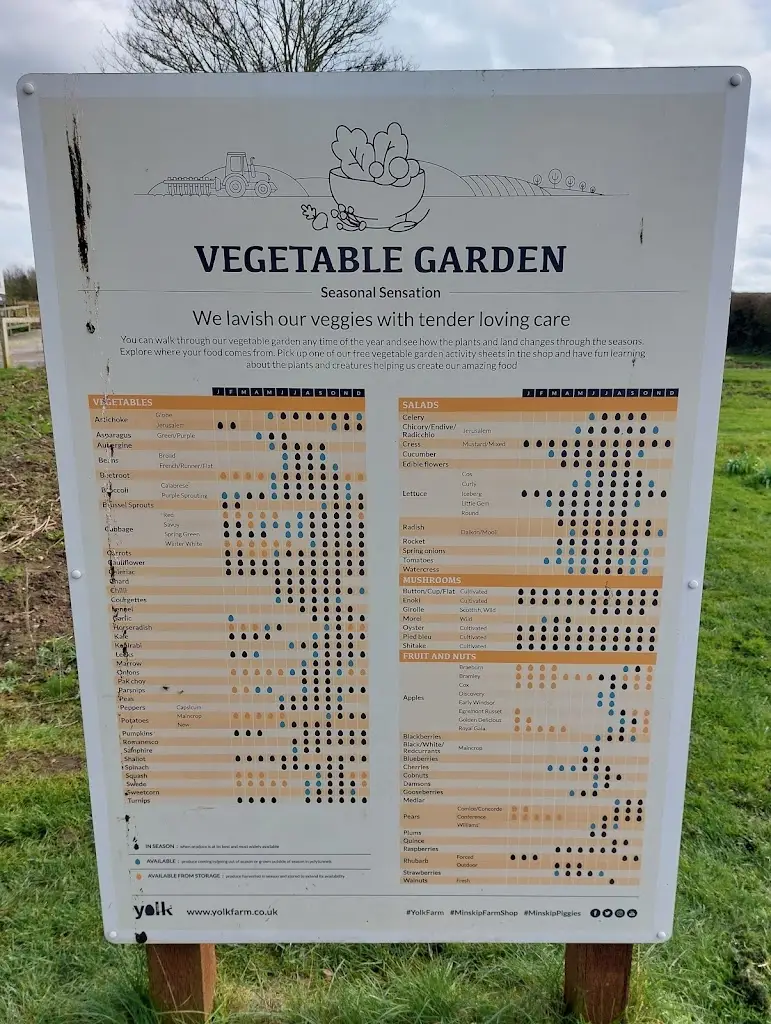 Menu_Yolk Farm Restaurant/Cafe_Boroughbridge_image_2