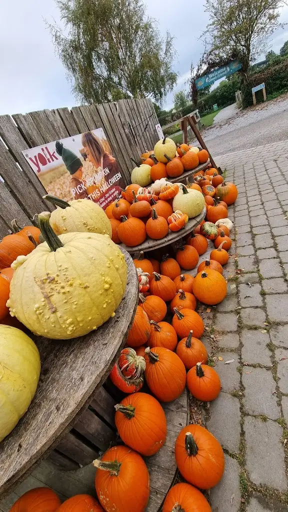 Menu_Yolk Farm Restaurant/Cafe_Boroughbridge_image_7