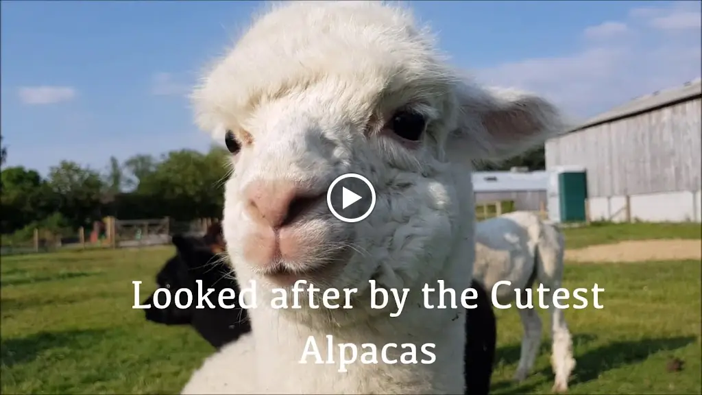 Yolk Farm Restaurant/Cafe_Boroughbridge_slider_image_2