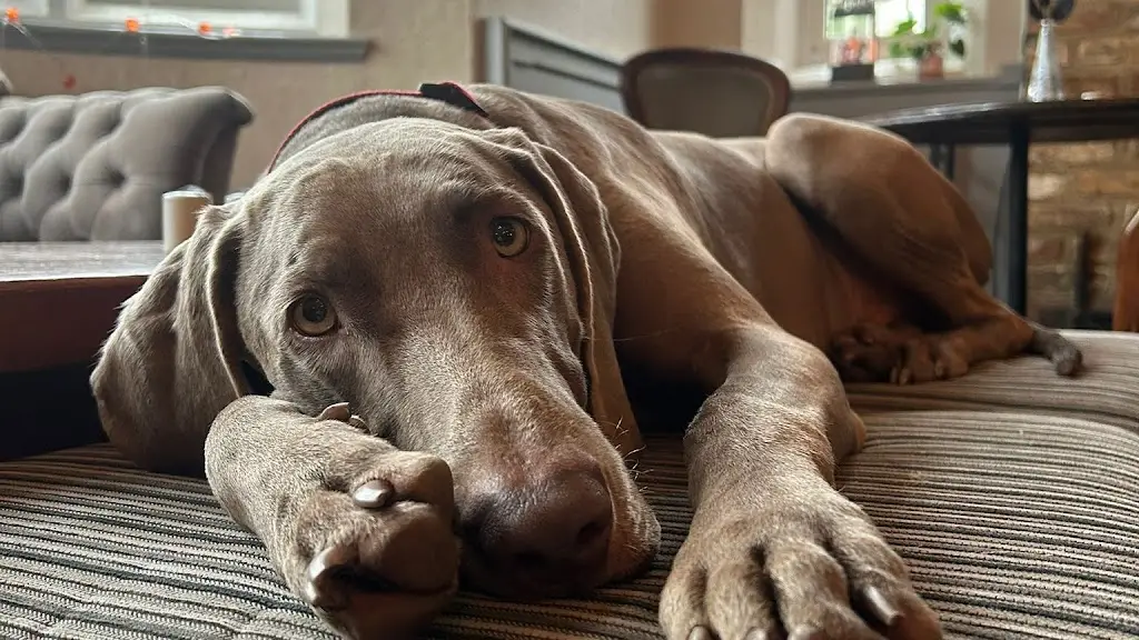 The George pub_Bow Brickhill_slider_image_3