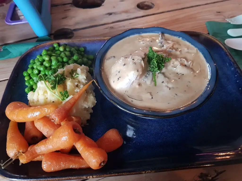 Mally Harvey_The Ginger Dog_Bowburn_review