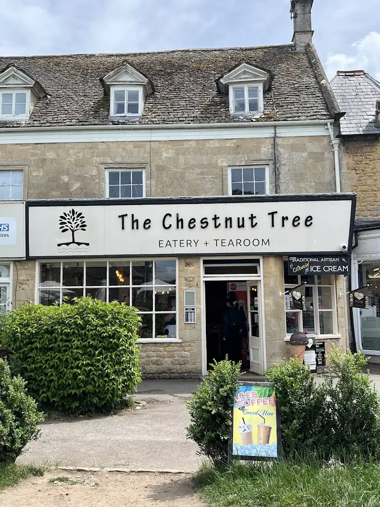 Alina Marcut_The Chestnut Tree_Bourton on the Water_recensione