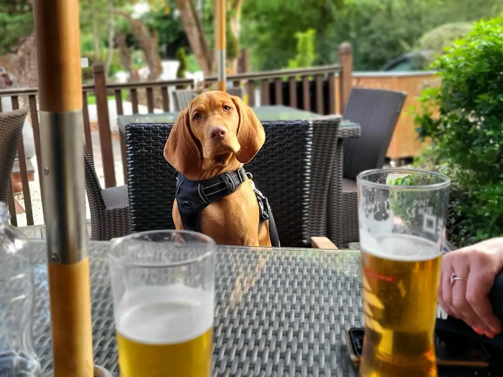 Menu_Spade Oak Hotel Bourne End_Bourne End_image_3