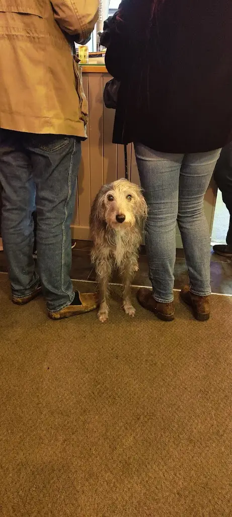 Black Lion_Bourne End_slider_image_3