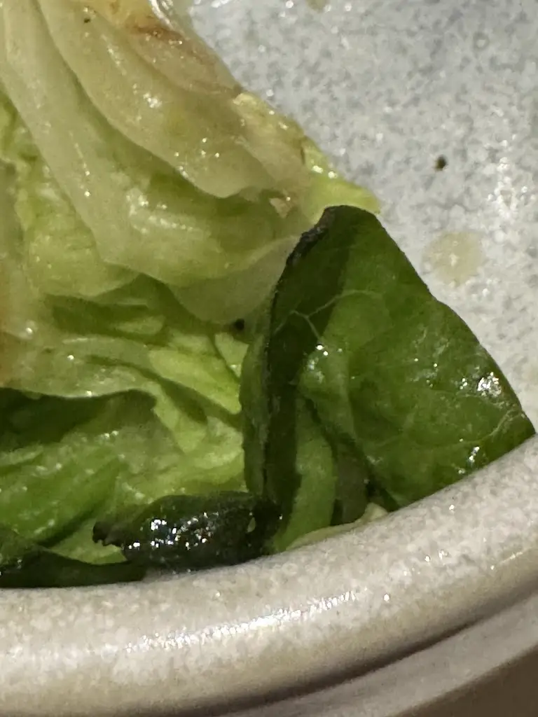 عبدالرحمن Abdulrahman_Côte Bournemouth_Bournemouth_review