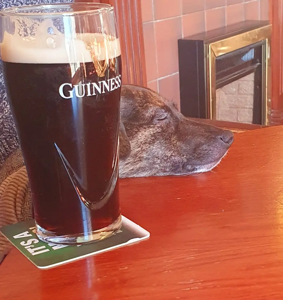 Menu_Plough_Bracebridge Heath_image_3