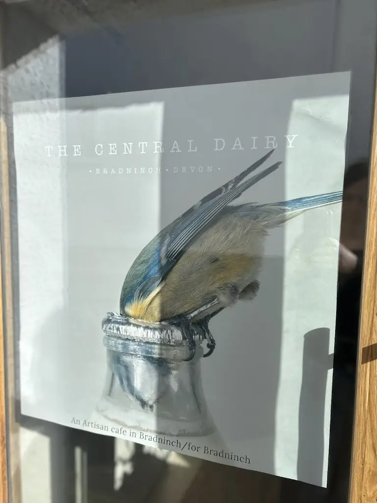 Carolyn Davey_The Central Dairy_Bradninch_recensione