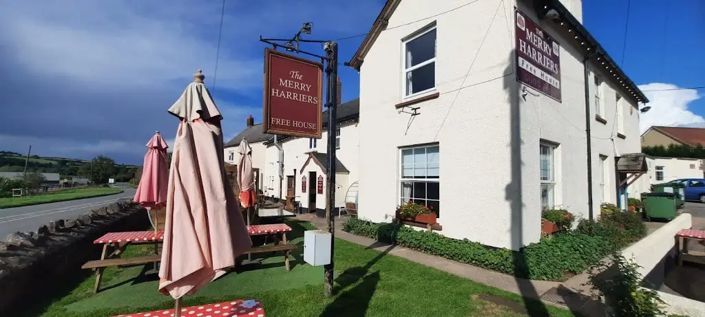 Nigel green_The Merry Harriers_Bradninch_review