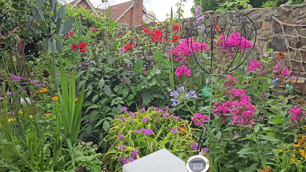 David Crouchen_The Bell Inn_Bovey Tracey_review