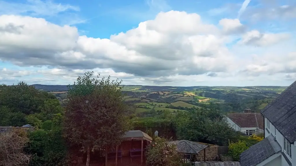 richard pursehouse_The Palk Arms_Bovey Tracey_review