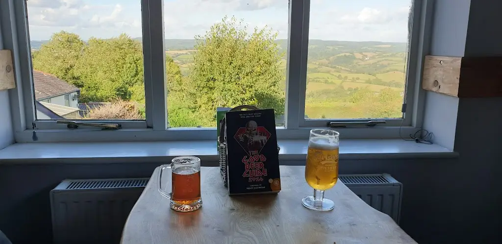 Peter Anthony_The Palk Arms_Bovey Tracey_review