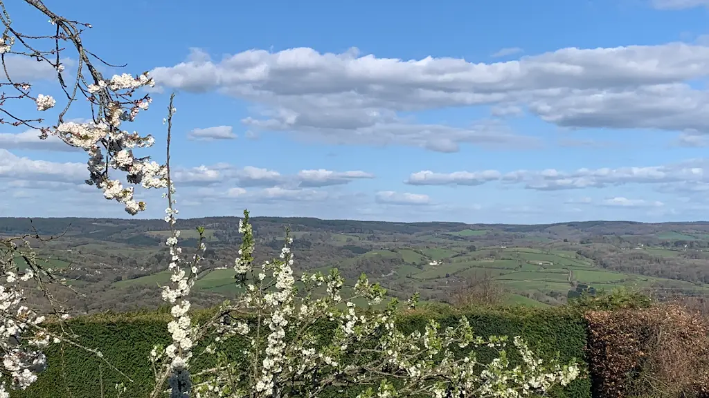 The Palk Arms_Bovey Tracey_slider_image_3