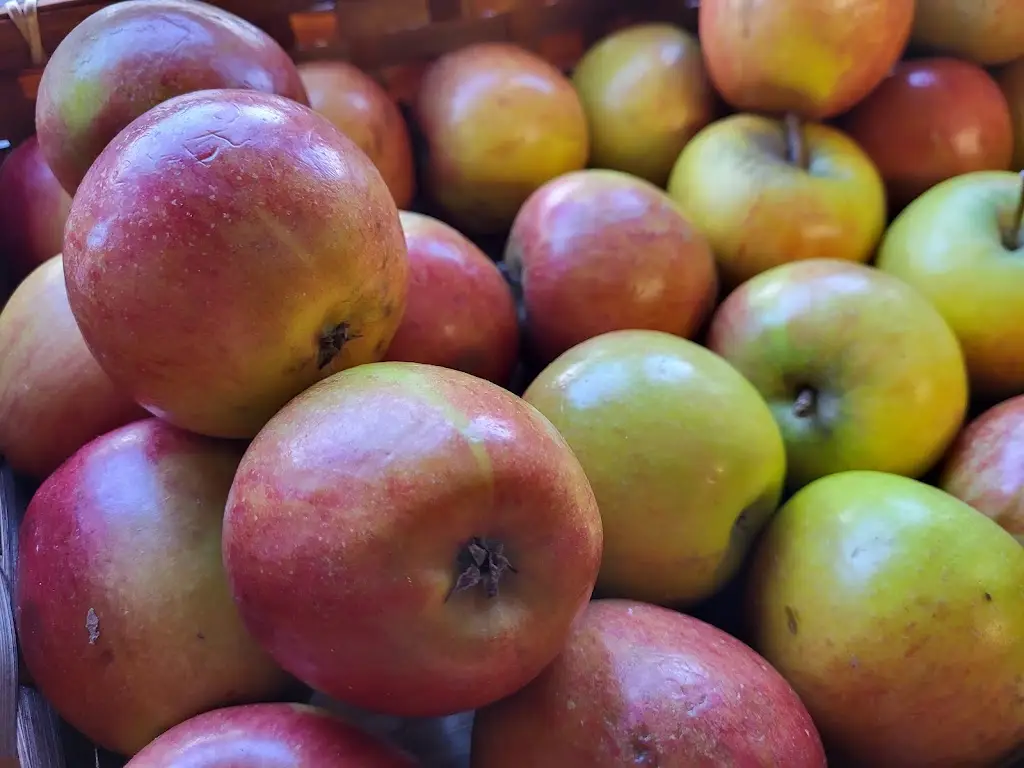 Menu_Wildmoor Fine Food & Drink_Bovey Tracey_image_8