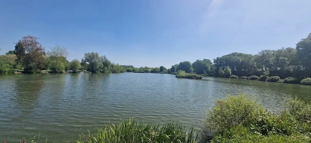 Nicholas King_The Lake House_Aldershot_review